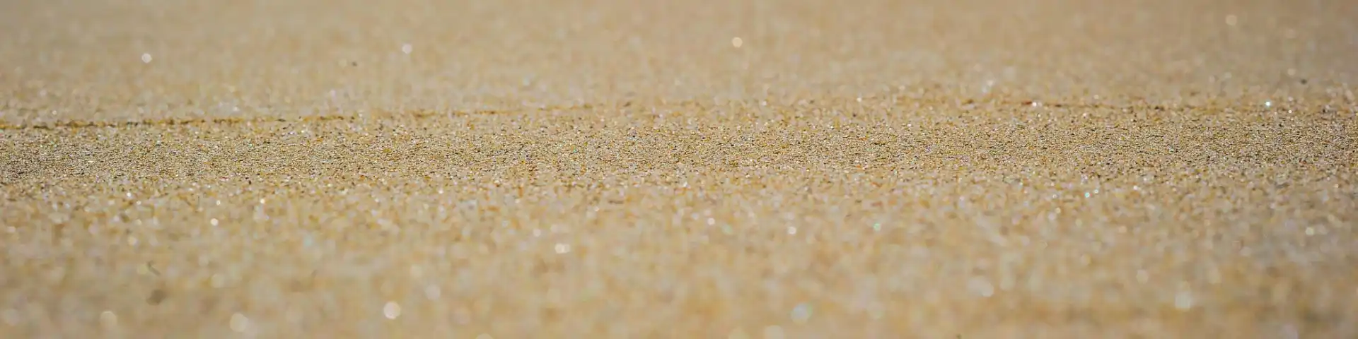 Immagine footer