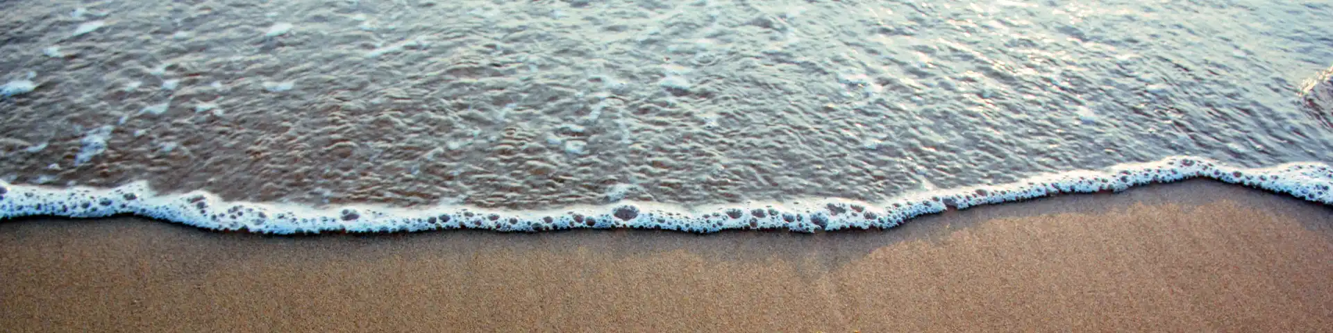 Immagine footer